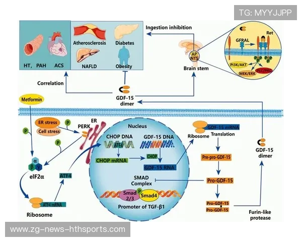 多国阵容高度成熟，连贯性远超以往